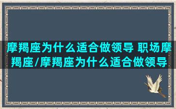 摩羯座为什么适合做领导 职场摩羯座/摩羯座为什么适合做领导 职场摩羯座-我的网站